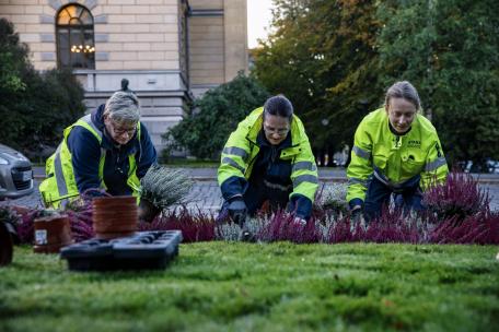 Staran työntekijöitä hoitamassa kaupungin puistoaluetta