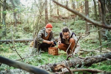 Kaksi miestä keräämässä sieniä metsässä